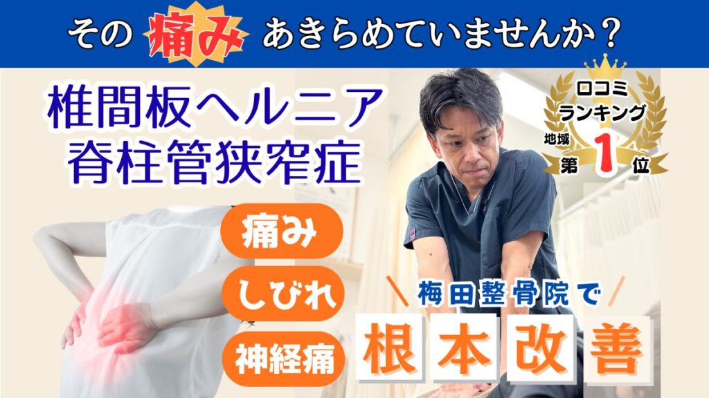 椎間板ヘルニア、脊柱管狭窄症治療